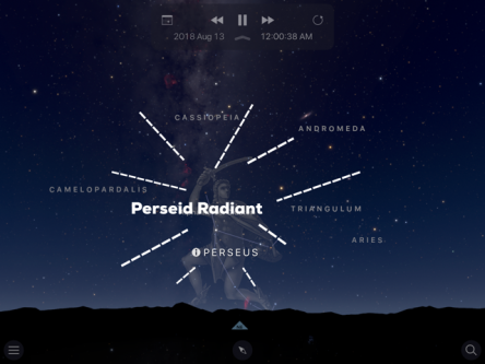 Graphic of Perseid Radient