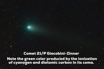 Photo of Comet 21/P