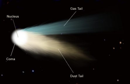 Graphic of all the parts of a comet