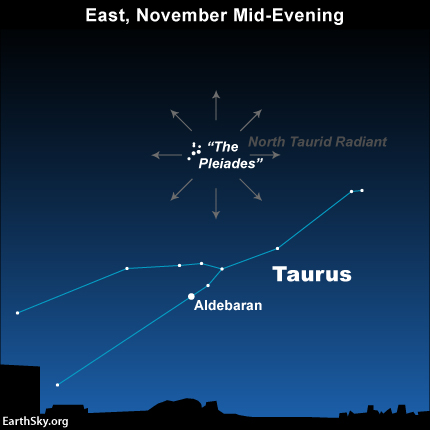 Graphic of Taurus and The Pleiades