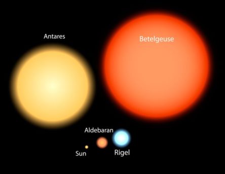 Graphics of Antares and Betelgeuse