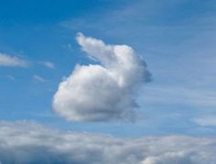 Cloud shaped like a rabbit photo