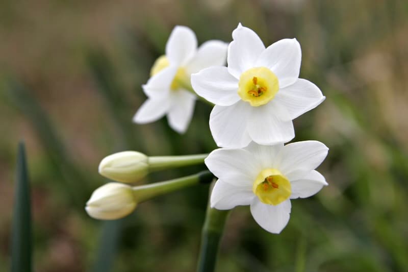 March 22 Spring March 2022 Feature - MARCH EQUINOX: SPRING BEGINS! - University ...