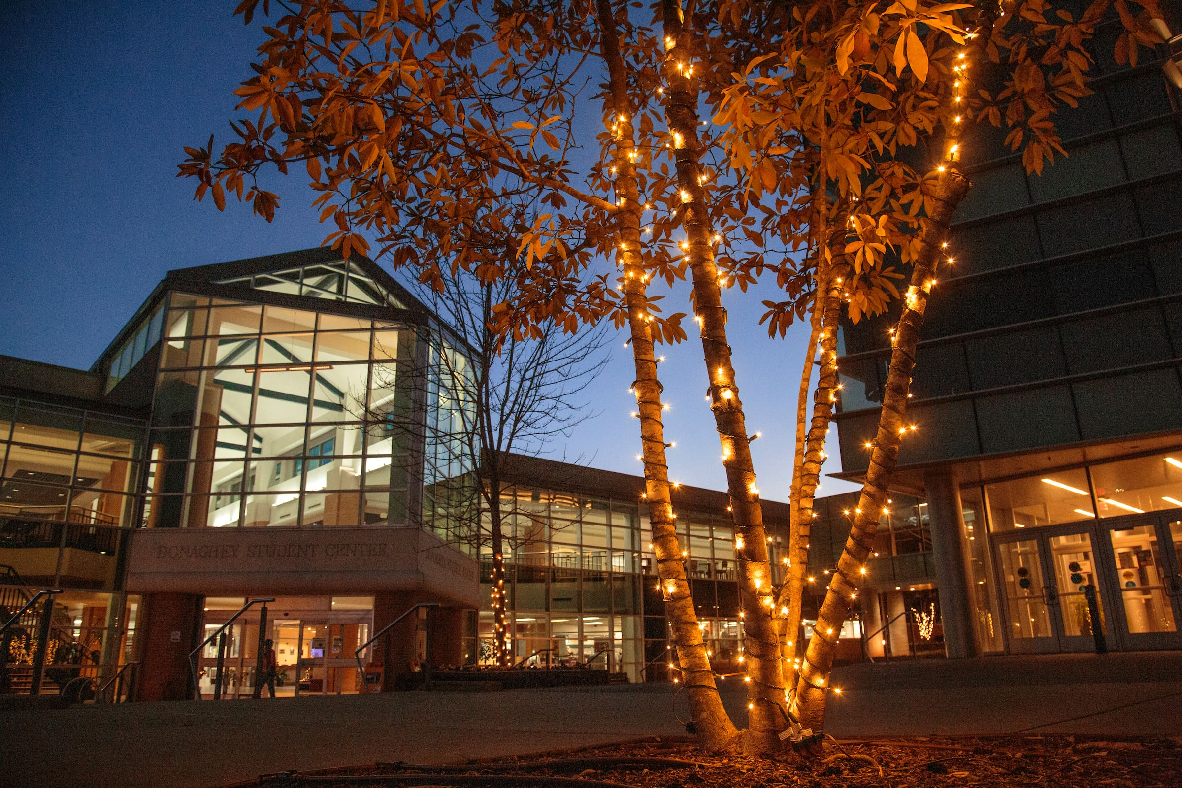 Promo Box Split Image